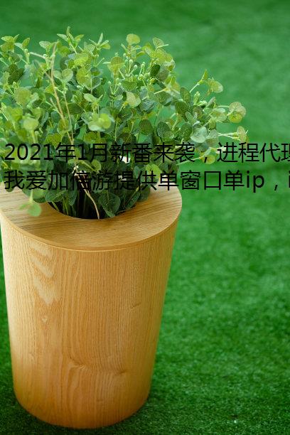2021年1月新番来袭，进程代理王牌续作强势归来！