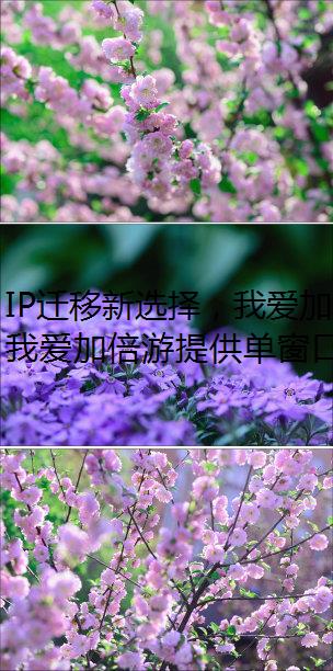 IP迁移新选择，我爱加倍游助力广东用户我爱加倍游外省网络