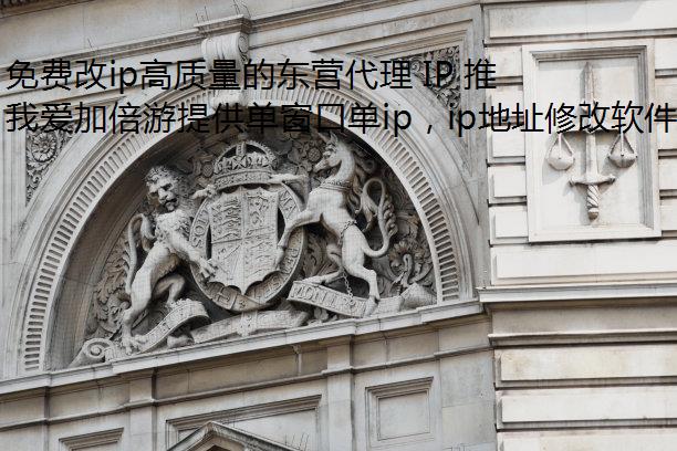 免费改ip高质量的东营代理 IP 推荐——我爱加倍游代理