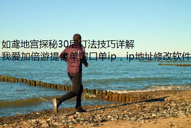如鸢地宫探秘30层打法技巧详解