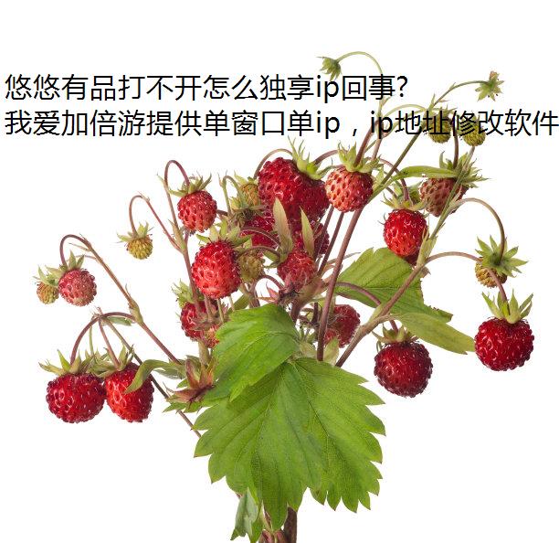 悠悠有品打不开怎么独享ip回事?