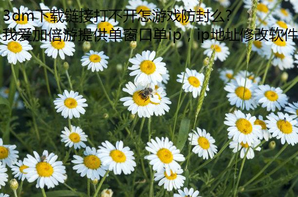 3dm下载链接打不开怎游戏防封么办?