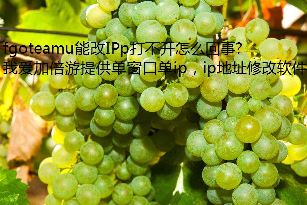 fgoteamu能改IPp打不开怎么回事?