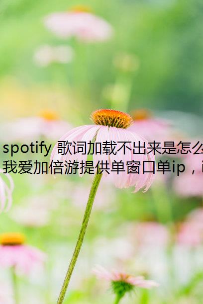 spotify 歌词加载不出来是怎么回事？