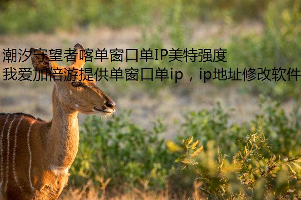 潮汐守望者喀单窗口单IP美特强度分析测评