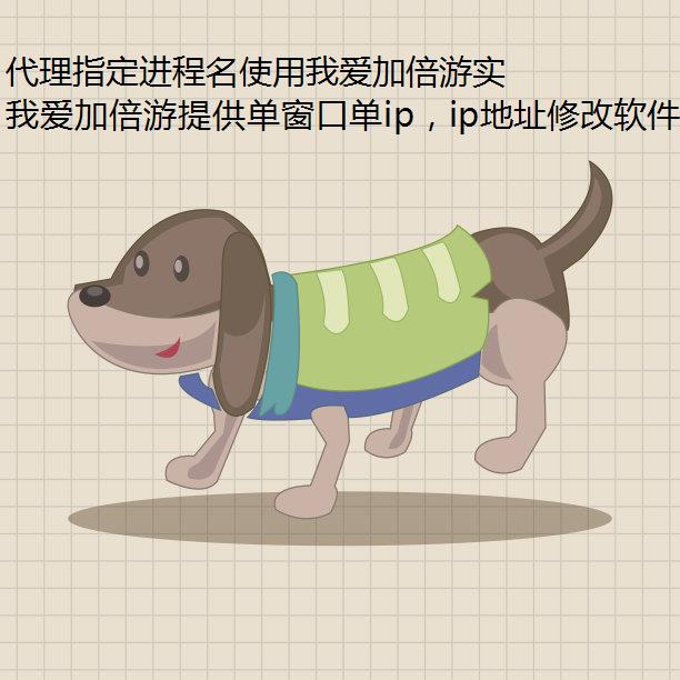 代理指定进程名使用我爱加倍游实现陕西省IP地址的高效切换与管理