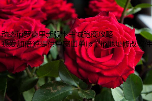 动态ip罗德里新版本主城跑商攻略详解