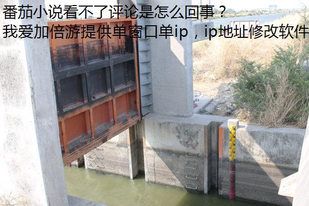 番茄小说看不了评论是怎么回事？