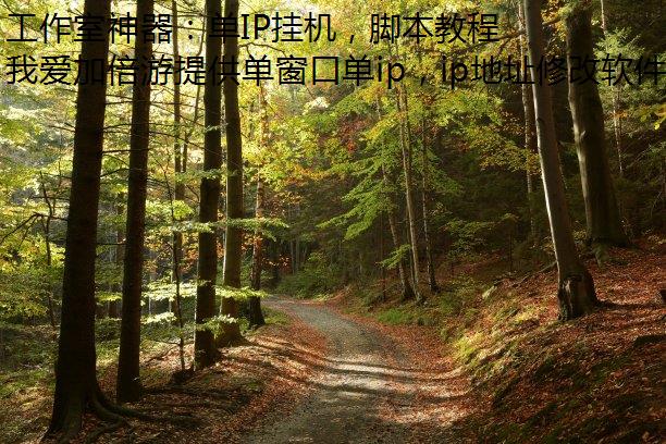 工作室神器：单IP挂机，脚本教程全免费
