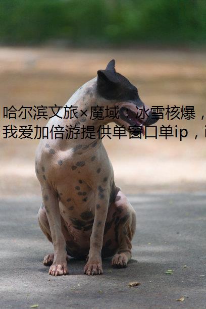 哈尔滨文旅×魔域：冰雪核爆，点燃终极梦幻童话宇宙大爆炸！