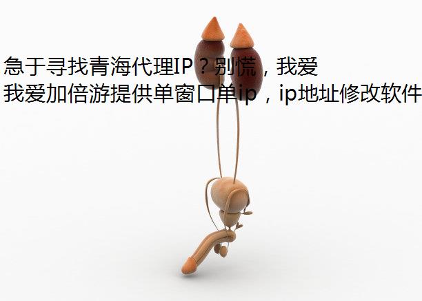 急于寻找青海代理IP？别慌，我爱加倍游可以帮你！