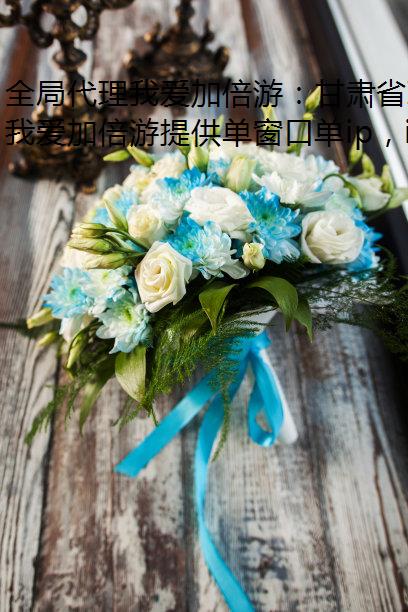 全局代理我爱加倍游：甘肃省IP地址切换与动态/静态IP应用指南
