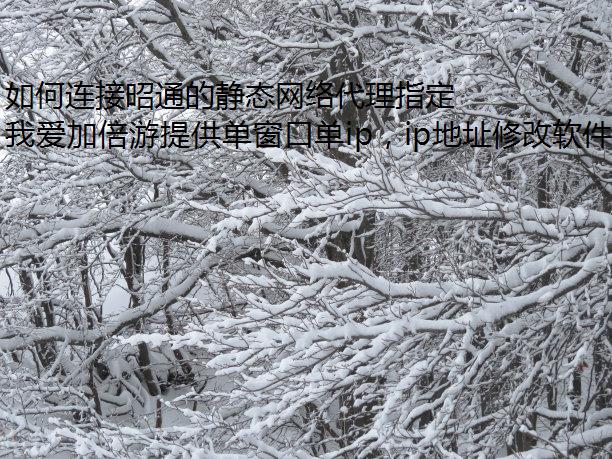 如何连接昭通的静态网络代理指定进程名?试试我爱加倍游