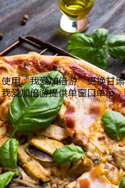 使用“我爱加倍游”更换甘肃省IP地址的全面指南