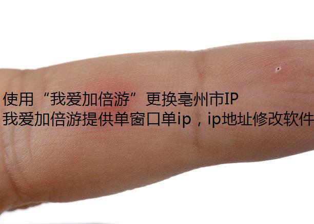 使用“我爱加倍游”更换亳州市IP地址
