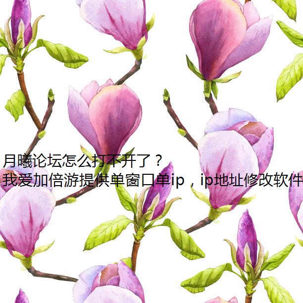 月曦论坛怎么打不开了？