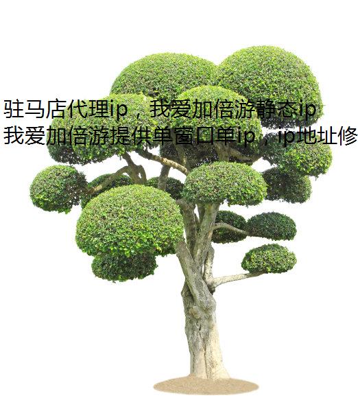 驻马店代理ip，我爱加倍游静态ip助你轻松切换！
